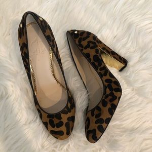 Leopard calf hair pumps from C Wonder.